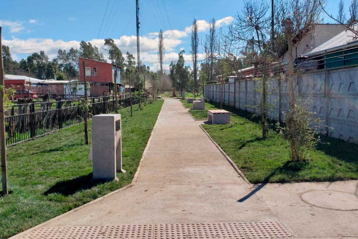 Plaza Araucaria Después 1